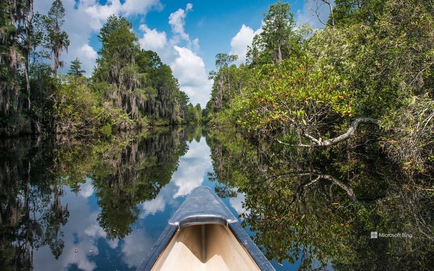 Canoe paddling in Okefenokee National Wildlife Refuge, Georgia