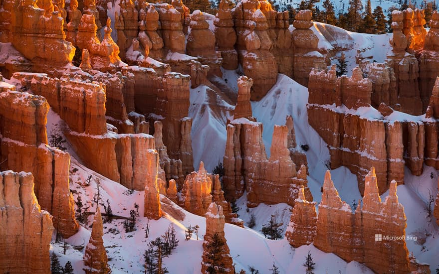 Bryce Canyon National Park, Utah, USA