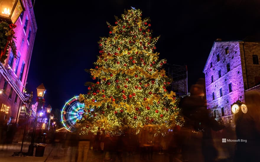 Toronto Christmas market at the Distillery District