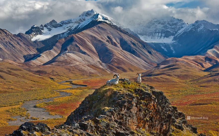 Denali National Park, Alaska, USA