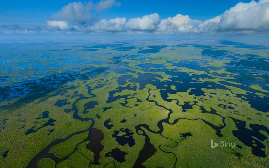 Aerial view of Everglades National Park in Florida