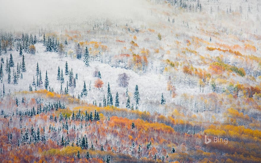 Early snowfall near Fairbanks, Alaska