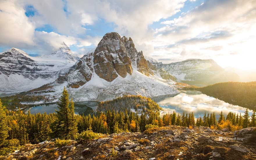 Fall foliage in Mount Assiniboine Provincial Park, British Columbia