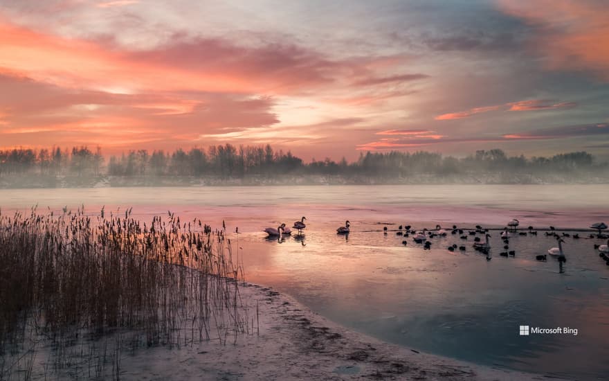 Frozen lake at winter sunrise, Germany