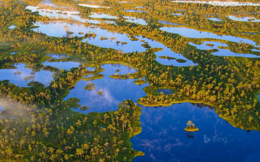 Ķemeri National Park, Latvia