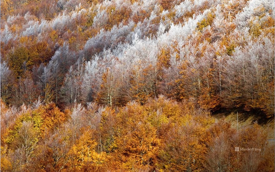 The Cévennes between two seasons