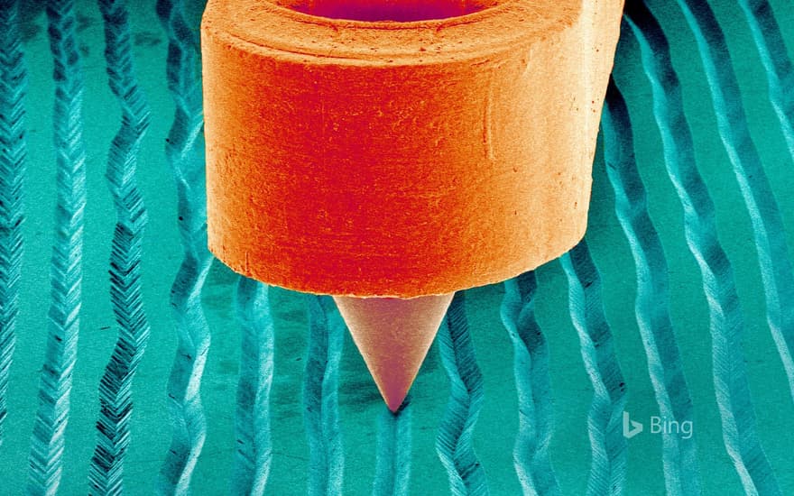 A scanning electron micrograph of a needle on a record