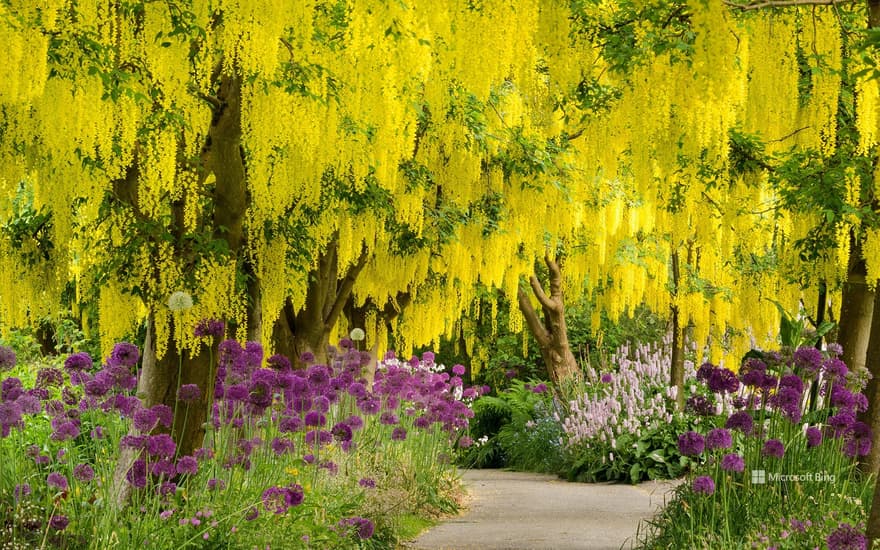 VanDusen Botanical Garden, Vancouver, Canada